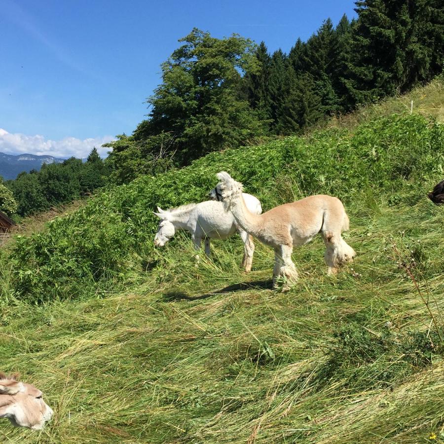 Trentino In Malga: Malga Zanga Guest House Арко Екстериор снимка