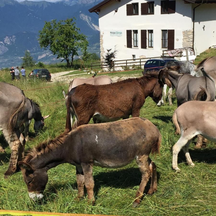 Trentino In Malga: Malga Zanga Guest House Арко Екстериор снимка