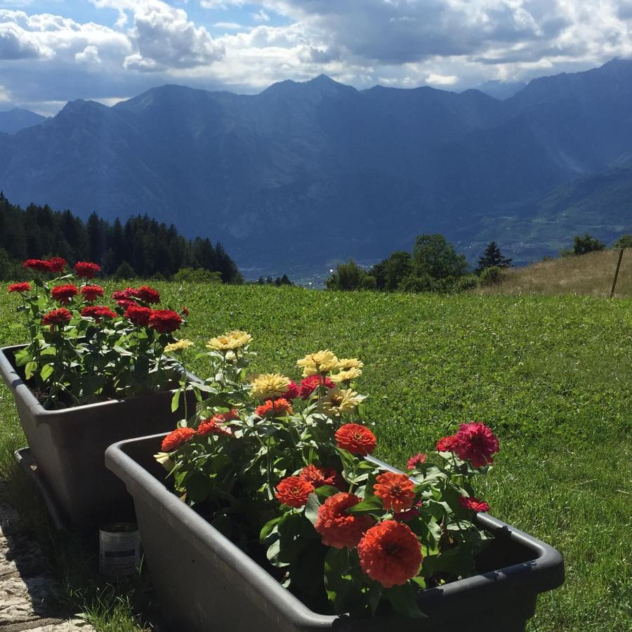 Trentino In Malga: Malga Zanga Guest House Арко Екстериор снимка